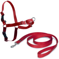 ARNES EASY WALK PEQUEÑO. ROJO