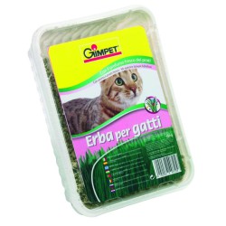 HIERBA GATO VITAMINADA CON TGOS 100gr.GIMPET