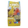 CANARIOS VINCI 5 KG.  -3-