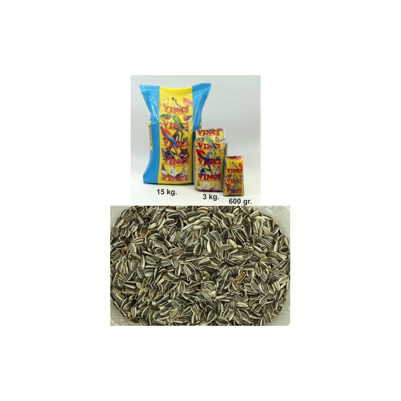 PIPAS IREGUI VINCI  600 GR.  -12-