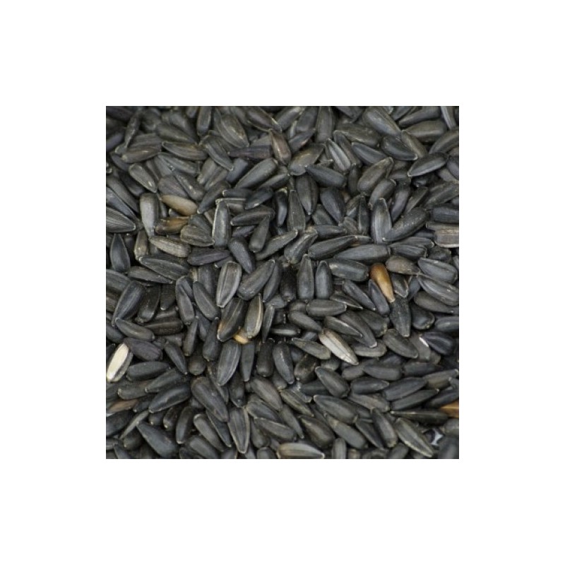 PIPAS NEGRAS 2,5 KG. PRODAC