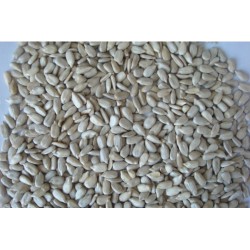 PIPAS PELADAS 4 KG.PRODAC