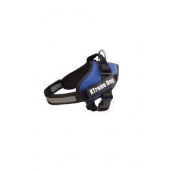 ARNES XTREME DOG AZUL L (70-95cm)