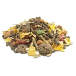 COBAYA CRISPY MUESLI 1 KG. VERSELE-LAGA