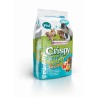 CRISPY SNACK POPCORN 650 GR. VERSELE LAGA