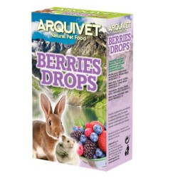 DROPS FRUTAS DEL BOSQUE 65...