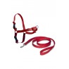 ARNES EASY WALK PEQUEÑO. ROJO