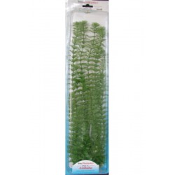 PLANTA AMBULIA PLUS (46CM)