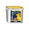 PASTA GOLD PATEE AMARILLA 5KG.ORLUX