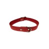 COLLAR PIEL LABRADO 25X550mm. ROJO