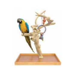 SUN PARROTS ARBOL MINI Large +COMEDERO JAVA Ref.bowl-s