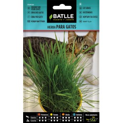 3381 HIERBA PARA GATO BATLLE SOBRE