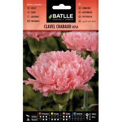 092407BOLS CLAVEL CHABAUD ROSA - SEMILLAS - SEMILLAS FLORES.