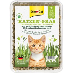 HIERBA GATO VITAMINADA CON TGOS 100gr.GIMPET