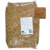 TORTUGAS Y REPTILES STICKS DE COLORES 10 Kg.