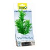 TETRA DECOART PLANTA M CABOMBA