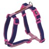 ARNES X-TRM DOBLE PREMIUM AZUL-ROSA 25-40CM X 1CM