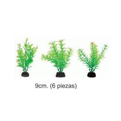 PLANTA AQUA GREEN 9cm. 6...