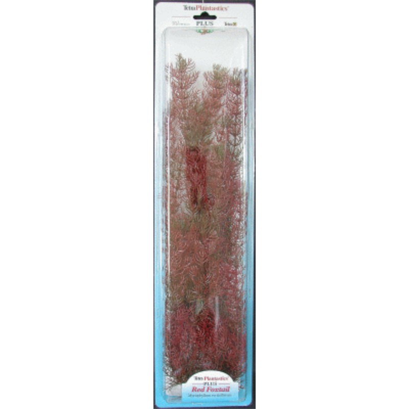 PLANTA FOXTAIL (28-33CM)