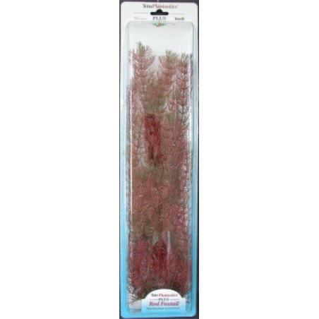 PLANTA FOXTAIL (28-33CM)