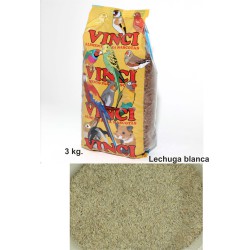 LECHUGA BLANCA PRODAC 3 KG.