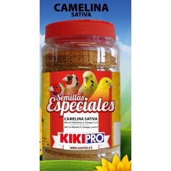 KIKI CAMELINA SATIVA BOTE...