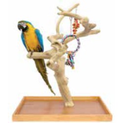 SUN PARROTS ARBOL MINI...