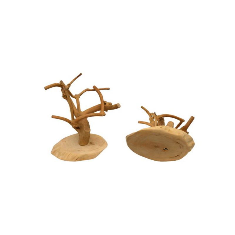 JAVA MINI Tree, Coffeewood Base-XS