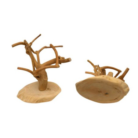 JAVA MINI Tree, Coffeewood Base-XS