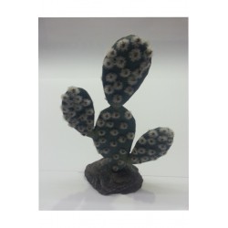 CACTUS SAHARA 19CM.