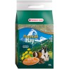 HENO MONTAÑA DIENTE LEON 500 GR. VERSE-LAGA