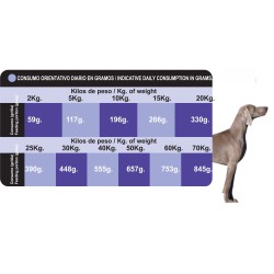 PROCT-DOG ADULT PLUS  4 KG