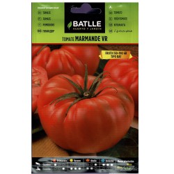 TOMATE MARMANDE VR.HOLANDA SOBRE