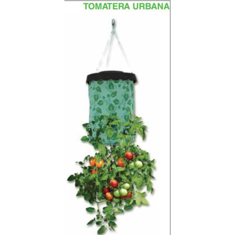 TOMATERA URBANA 40x22cm.