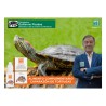 MENFORSAN CAPARAZON TORTUGAS 30ml