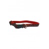 COLLAR NYLON 15x250-380MM.BULL ROJO/ROJO