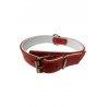 COLLAR PIEL CONFORT ROJO 30 x 260-360 mm